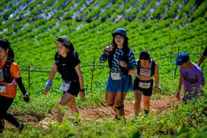 BIB: 1564
                            <button type="button" onclick="openModal(19164405)" class="btn btn-primary btn-sm float-right btn-popup" data-toggle="modal" data-target=".modal-high-quality">
                        <i class="fas fa-shopping-cart"></i> Add to Cart
                    </button>
                                            <button type="button" onclick="isThisMe(19164405, true)" class="btn btn-success btn-sm float-right btn-popup btn-isme hidden" data-toggle="tooltip" data-placement="bottom" title="นี่คือรูปของคุณใช่ไหม คลิกที่นี่เพื่อเอาเข้าอัลบั้ม">
                        <i class="fas fa-plus"></i> Add to album
                    </button>
                    <button type="button" onclick="isThisMe(19164405, false)" class="btn btn-warning btn-sm float-right btn-popup btn-isnotme hidden">
                        <i class="fas fa-ban"></i> Remove from album
                    </button>